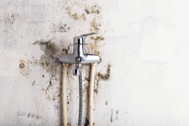 Best Post-Remediation Services in Franconia, VA