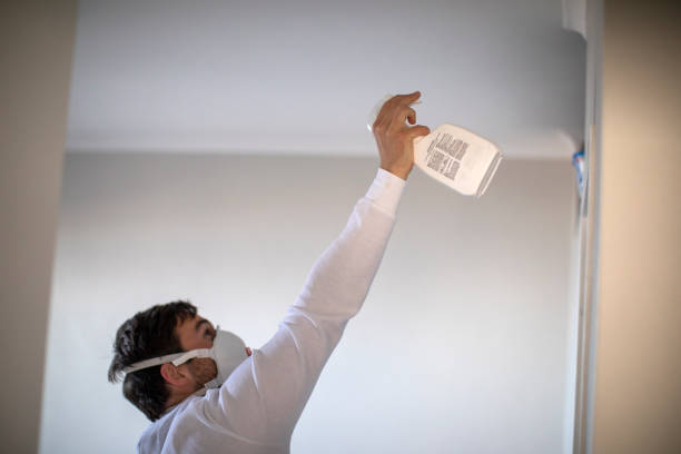 Trusted Franconia, VA Mold Remediation Experts