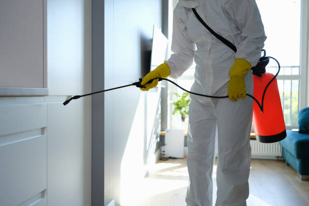 Best Preventive Mold Services in Franconia, VA